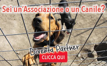 sei un'associazione o un canile? unisciti a noi