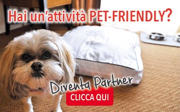hai un'attività pet friendly?