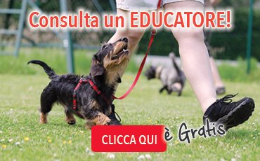consulta un educatore