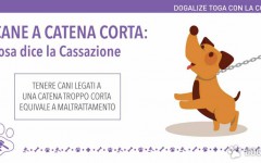 cani legati alla catena: cosa dice la cassazione