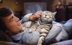 Perros y Gatos: Te quieren igual?