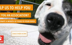 Slide_Onlus_2Def_ENG