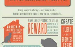 Some good advice to recover a lost pet