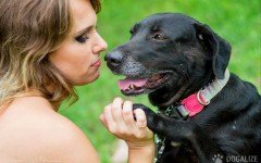 Dog's need: Giving Affection to Your Dog