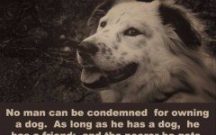 A dog is a man's best friend!