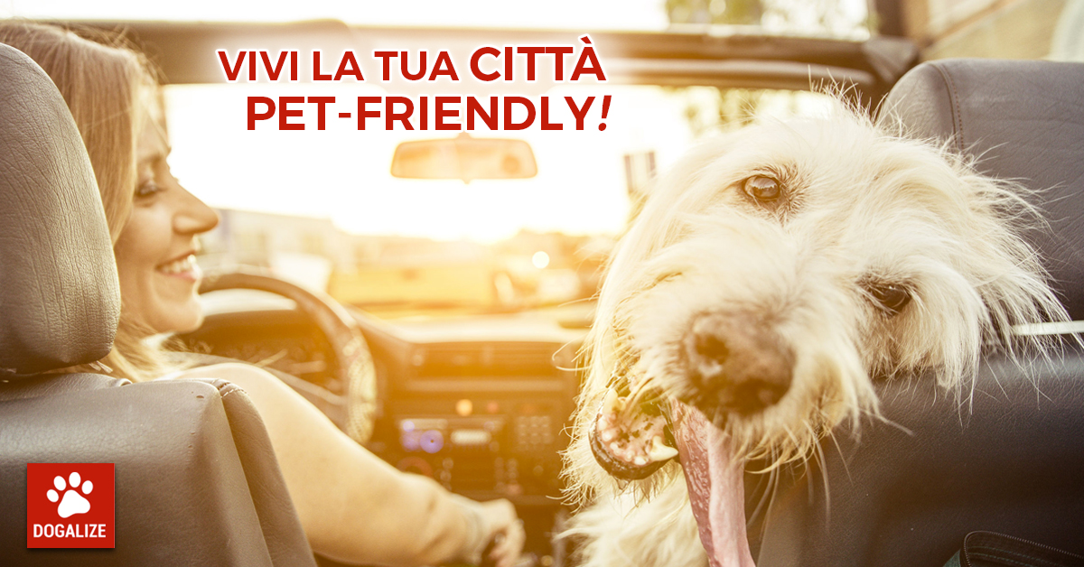 Vacanze con il cane Vacanze animali hotel pet friendly pet friendly dog sitter pet sitter hotel che accettano animali ristoranti cani ammessi