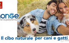 Alimentazioni cani: I consigli nutrizionali per cani