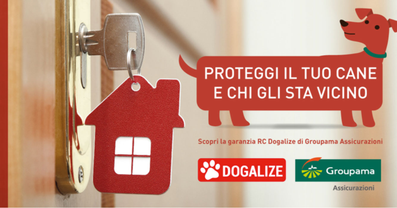 assicurazione dogalize