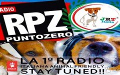 Radio per cani: consigli veterinari ed educatori in radio con Dogalize! Ascolta Radio Punto Zero e troverai le nostre pillole!