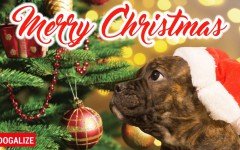 Many thanks and Merry Christmas