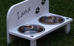 Intolleranze alimentari del cane i sintomi e le razze a rischio