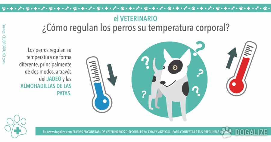 temperatura corporal