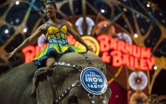 Il Circo Barnum cala il sipario dopo 146 anni di attività