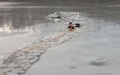 Dog rescue from frozen lake by a Police Officer