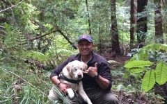 Missing dog: a blind dog recovered after a week! Thanks to the guy that saved her, an oldie white blind Labrador called Sage.