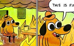 This is Fine dog: the story behind the dog meme