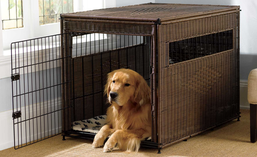A dog crate is a way of protecting your pet from injury when he is left alone in the house. Learn what size of crate is best for your dog.