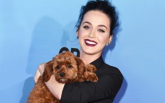 Katy Perry e il suo adorato cagnolino Butters