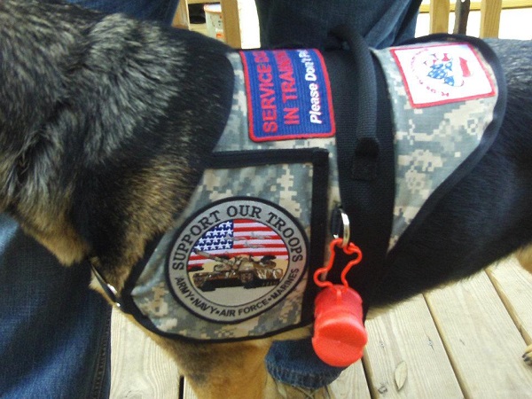 Service dog vests