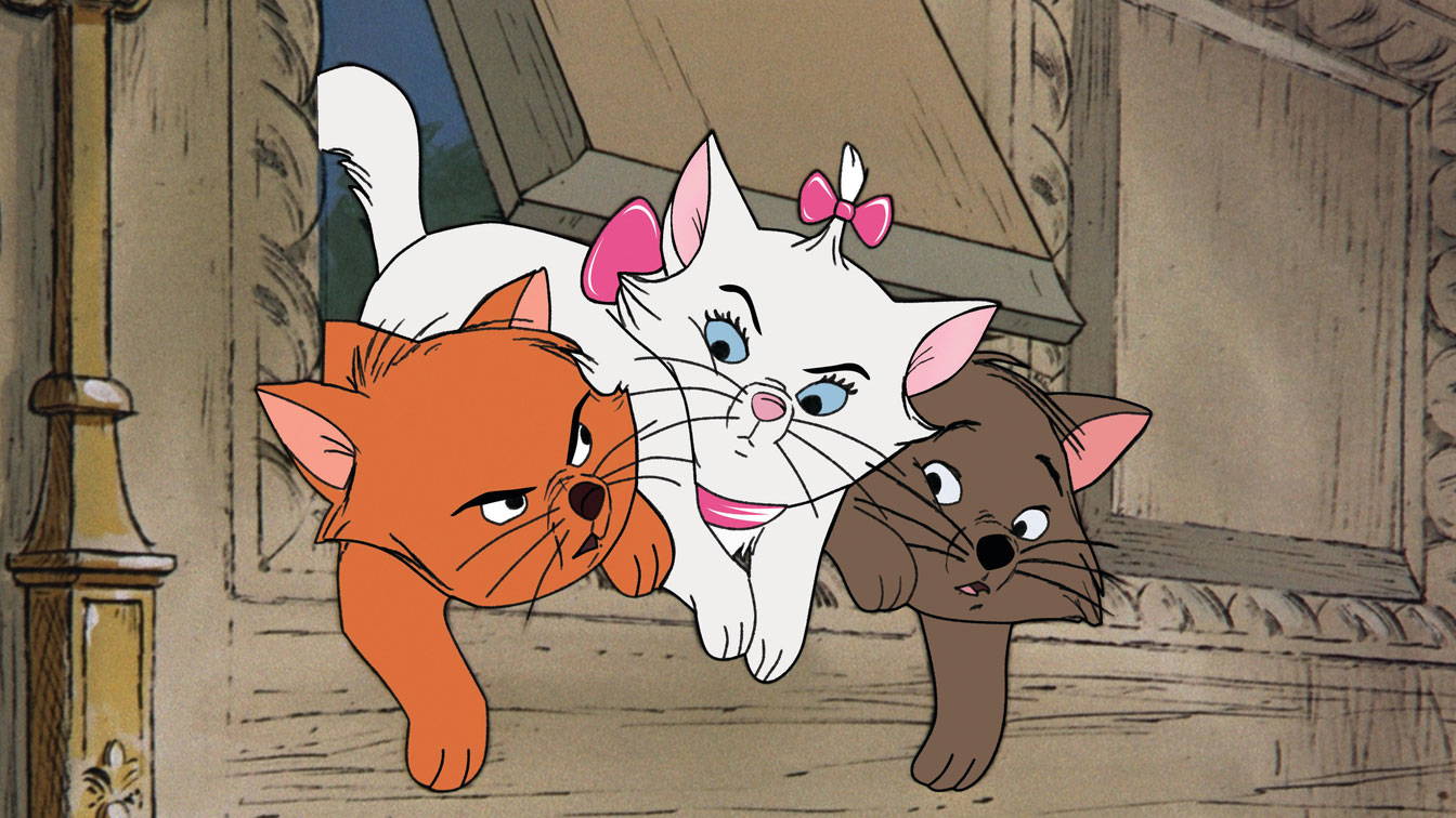 cartoon cats