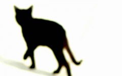 Some ideas for Cat Silhouette