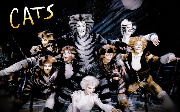 Cats the Musical Cats musical