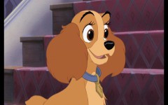 La razza del cane di Lilli e il Vagabondo