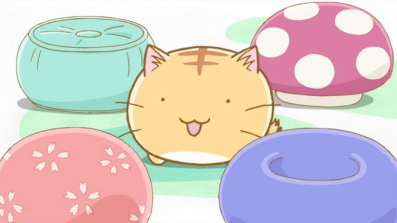 Anime Cat: Top 8 Cute Anime Cats