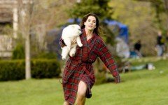 Samoiedo, la razza del cane di Ricatto d’amore