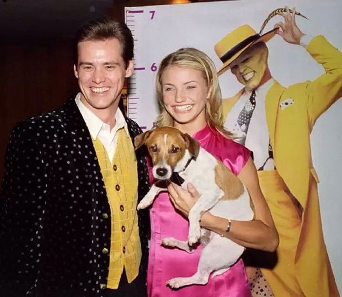 Jack Russel, la razza del cane di The Mask