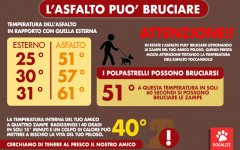 Infografica: con il caldo l' asfalto scotta le zampe del tuo cane