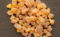 Boswellia, pianta antinfiammatoria per eccellenza