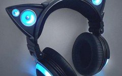 cat headphones