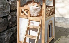 cat house