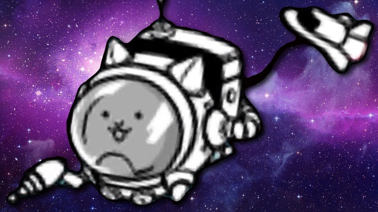 space cat