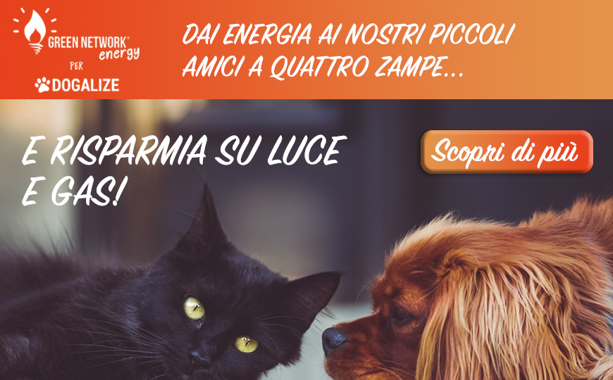 Offerte luce e gas: scopri come risparmiare