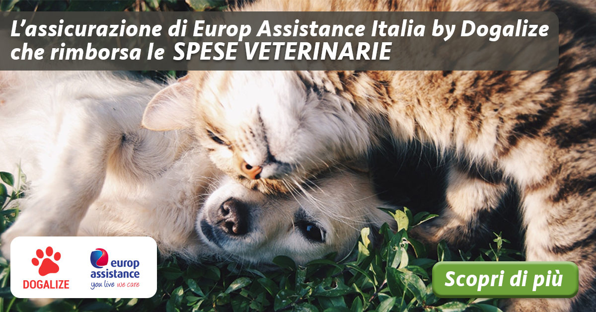 assicurazione per cane e gatto