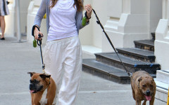 Jessica Biel Loves Her Dogs and walk them around Hollywood