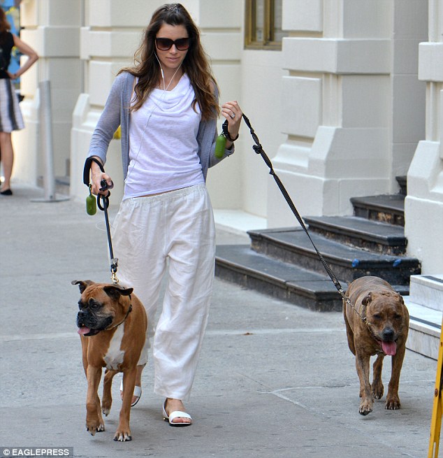 Jessica Biel Loves Her Dogs and walk them around Hollywood
