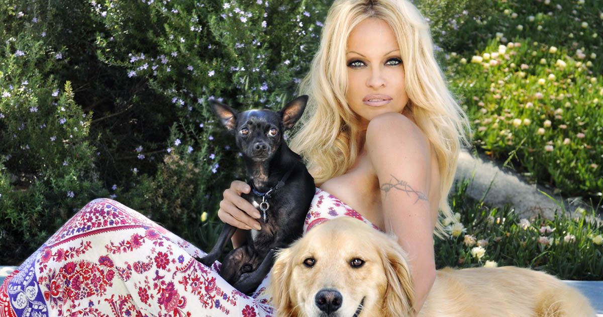 Pamela Anderson, a Passionate Animal Rights Activist