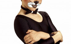 Cat Costume: do it yourself and look awesome