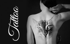 Cat Tattoo: Sport the Coolest Cat Tattoo Ever