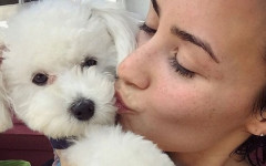 Demi Lovato and her Cuddly Pooches