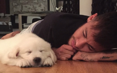 Neymar Jr. and his love for his beautiful dogs