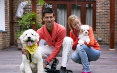 Novak Djokovic and His Poodle are Inseparable