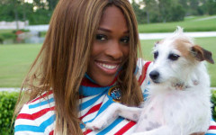 Serena Williams and her background with dogs