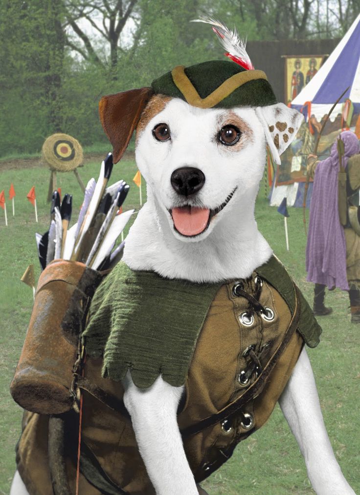 wishbone dog