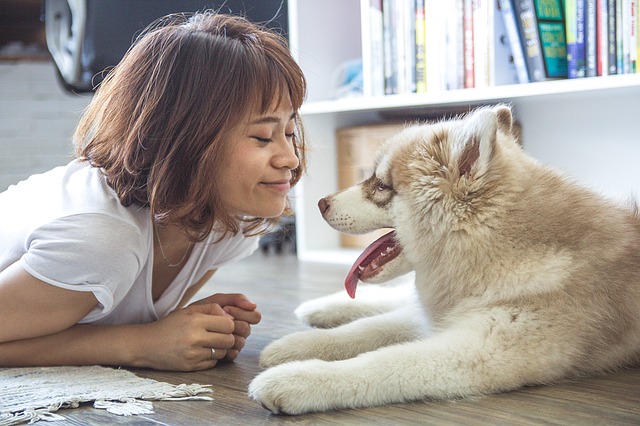 Dogs know when you smile? A scientific study