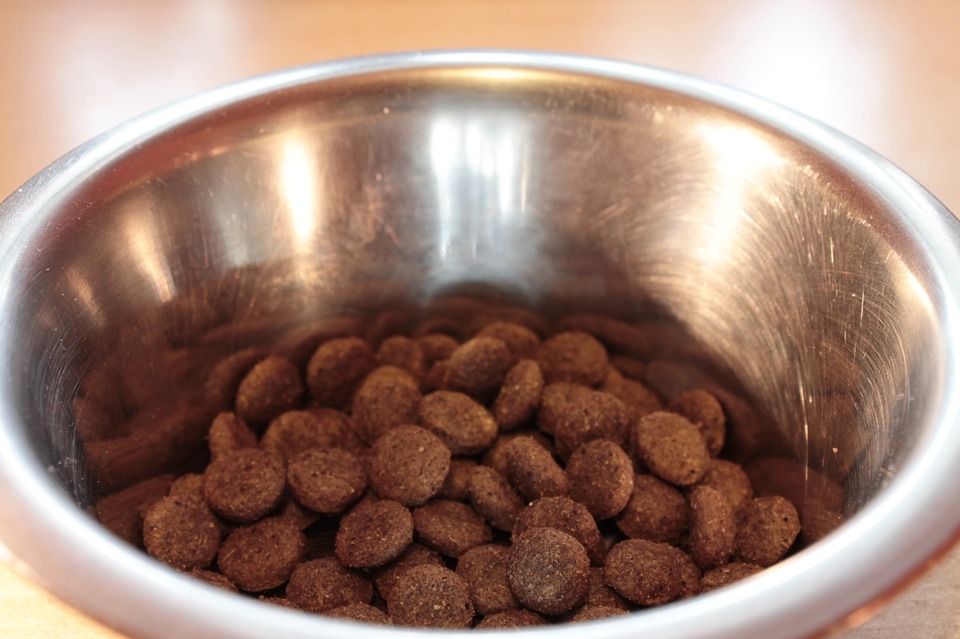 Natural pet food