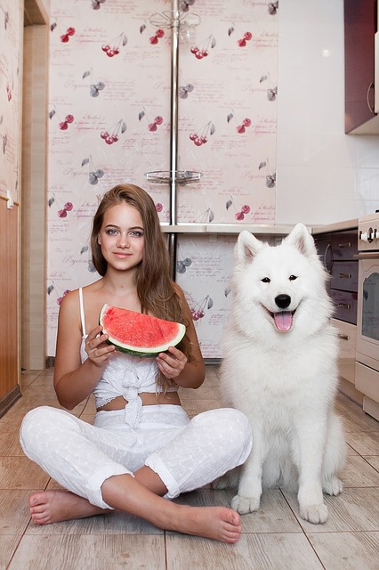 Can dogs eat watermelon? Yes, but with caution